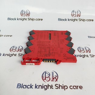 PR 3113 HART temperature converter